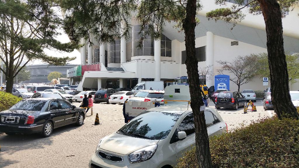 오늘 꽃구경 행락객들이 많아 차가지고 올림픽풀장 가려면