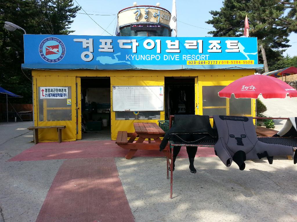 어렵고 어려운 다이빙....하고 싶어도 못하고...ㅠ