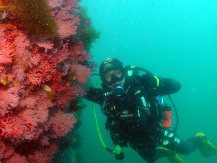 Beautiful Corals...Yangyang 
