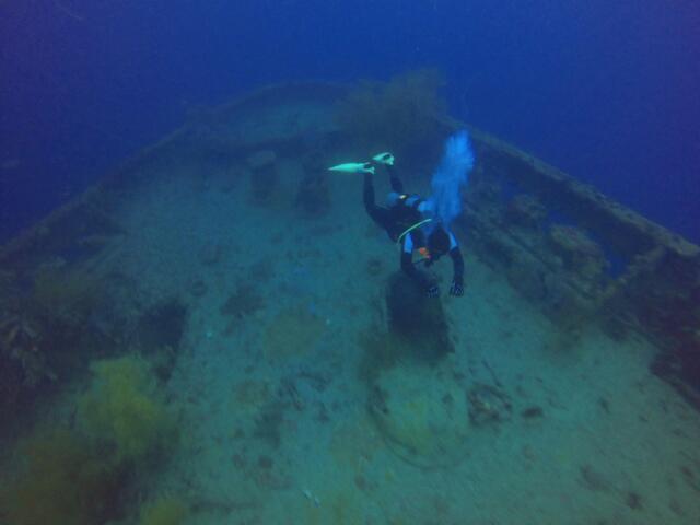 참 많은것을 주고 많은것을 가져간 코론입니다..아름다