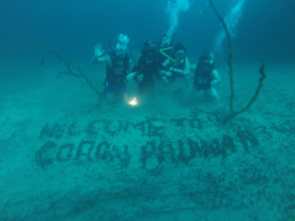 참 많은것을 주고 많은것을 가져간 코론입니다..아름다