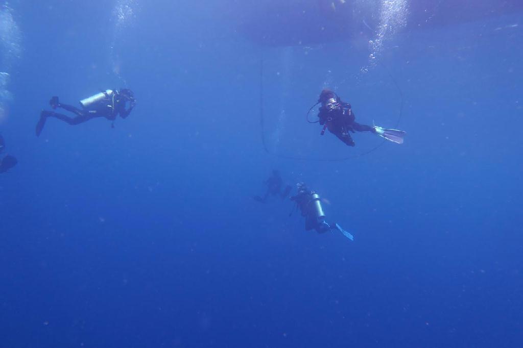 참 많은것을 주고 많은것을 가져간 코론입니다..아름다